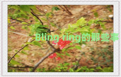 Bling ring的那些事